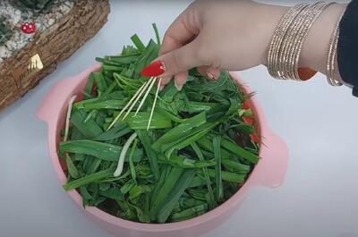 روش نگهداری سبزی خوردن برای مدت طولانی؛ سبزی دیگه خراب نمیشه