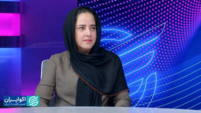 اقتصاد رفتاری معجزه نمی‌کند
