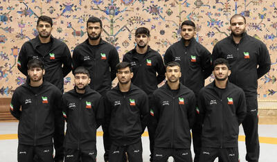 پاداش ۳۳ میلیاردی فدراسیون کشتی به مدال آوران جهانی