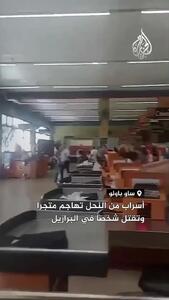 حمله مرگبار زنبورها به مشتریان یک سوپرمارکت/فیلم