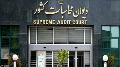 پایش برخط منابع هدفمندی یارانه‌ها توسط دیوان