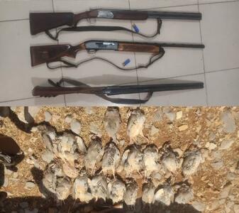 دستگیری شکارچیان غیرمجاز کبک وحشی در منطقه شکار و صید ممنوع گرین