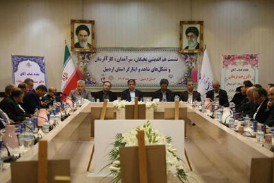 استاندار اردبیل از کارآفرین برتر ایثارگر لاهرودی تقدیر کرد
