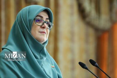 مهاجرانی:  دستگاه دیپلماسی تلاش می‌کند از فعال شدن مکانیسم ماشه جلوگیری کند/ تداوم اختصاص ارز ترجیحی برای کالاهای اساسی