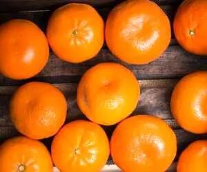 قیمت نجومی نوبرانه‌های پاییز؛ نارنگی کیلویی ۱۳۸ هزار!