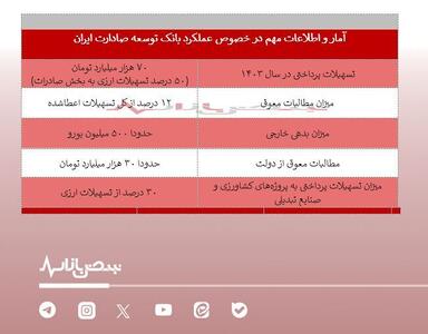 کفایت سرمایه بانک توسعه صادرات در لبه مرز/ از این بانک چه می‌دانیم؟