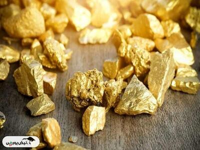 فـــزر بخریم یا طـــلا؟