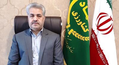کاهش ضایعات کشاورزی؛ هدف اصلی طرح نظارت بر برداشت محصولات