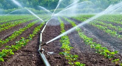اجرای سیستم آبیاری هوشمند مزارع، گلخانه ها و باغات در کارگروه نخبگان جامعه کشاورزی کازرون