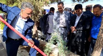 پیوند علم و طبیعت؛ آغاز سال تحصیلی در استان مرکزی با زنگ مهر و پویش درختکاری