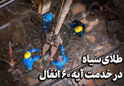 طلای سیاه در خدمت آیه 60 انفال - تسنیم