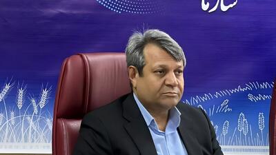 افزایش میزان جوجه ریزی در استان سیستان و بلوچستان به بیش از ۱۳.۵ میلیون قطعه