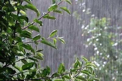 هواشناسی ۱۴۰۴/۷/۲؛ هشدار کاهش دما و طغیان رودخانه‌ها در ۵ استان