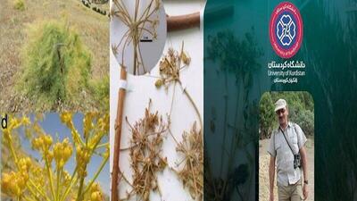 ثبت گونه گیاهی جدید به نام استاد دانشگاه کردستان