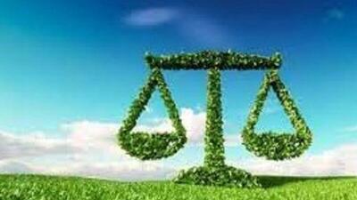متخلفان زیست محیطی در بیله‌سوار به کاشت درخت محکوم شدند