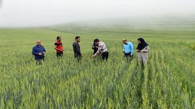معاون استاندار: بخش کشاورزی اردبیل موقعیت مناسبی برای فعالیت شرکت های دانش بنیان دارد