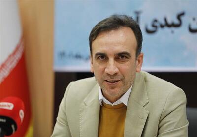 رئیس فدراسیون کبدی: کمیته‌ها، ساختار اصلی و ستون‌های فدراسیون محسوب می‌شوند