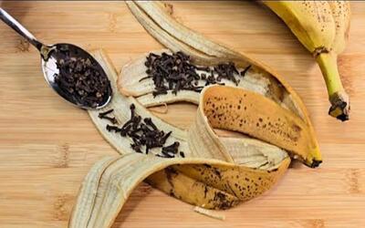 میخک را با پوست موز مخلوط کنید / آن را سالها نگهداری میکنید