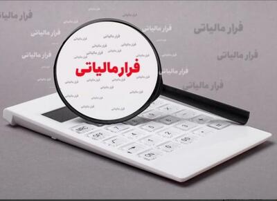 تحقق درآمدهای مالیاتی با تمرکز بر دانه‌درشت‌ها - اکونیوز