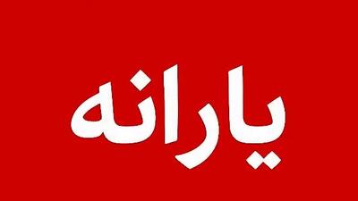 سورپرایز برای یارانه بگیران / با این روش یارانه حذف شده ها را دریافت کنید !