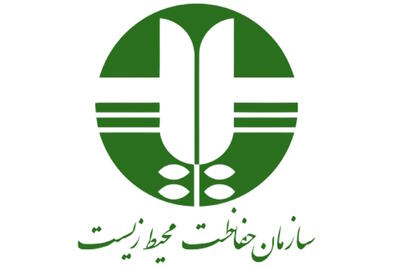 استعفای فاطمه شفیعی از مسئولیت در سازمان حفاظت محیط زیست |  انصاف نیوز