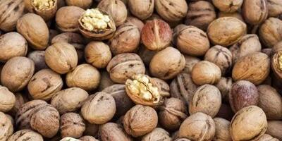 تاثیر گردو بر کبد چرب