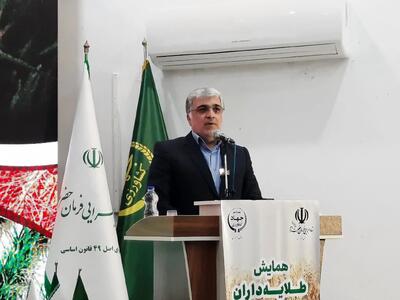مازندران بر اولویت‌های کشاورزی و صادرات متمرکز شد؛ رفع مشکلات مرکبات و حمایت از برنج‌کاران در دستور کار