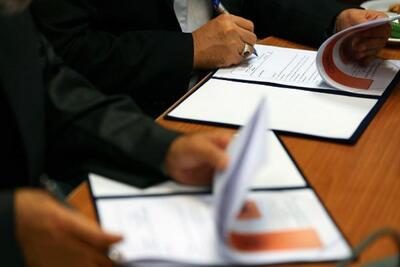 صنعت پویانمایی تقویت می شود
