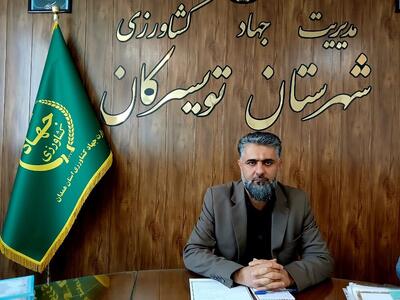 تثبیت جایگاه جهانی گردوی تویسرکان در اولویت است