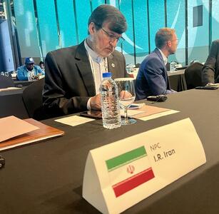 پیشنهاد رییس کمیته ملی پارالمپیک ایران در کنفرانس IPC؛ تعیین روز جهانی پارالمپیک - پارس فوتبال