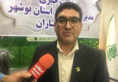 آغاز سال تحصیلی با 700 دانش‌آموز عشایری در استان بوشهر - تسنیم
