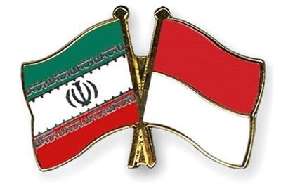 ایران و اندونزی؛ رایزنی برای هموار کردن مسیر خروج از لیست سیاه FATF - تسنیم