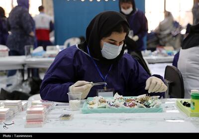 ارائه ‌300 خدمت تخصصی رایگان درمانی در اردوی بجنورد - تسنیم