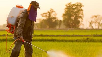 لزوم اجرای استاندارد اجباری برای ۳۰ قلم آفت‌کش کشاورزی