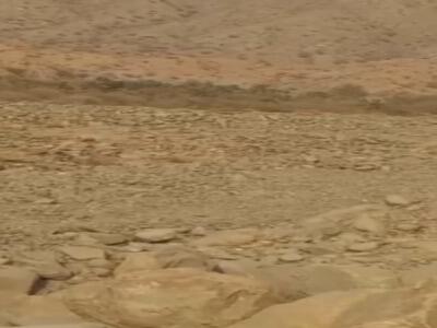 گشت و گذار آرام حیات وحش در رودانِ هرمزگان