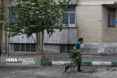 وزش باد شدید و گردوخاک در تهران