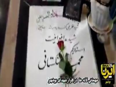 آیین «مهمانی لاله‌ها» در گلزار شهدای بوشهر