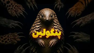 چرا پنگولین شکار شدنی نیست؟ حیوانی با زره آهنی و زبانی به اندازه بدنش!