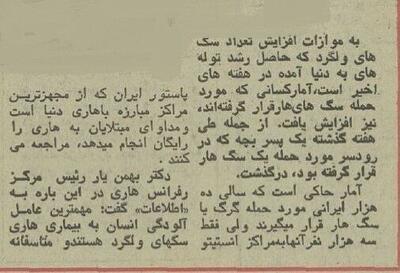عکس/ تهران در محاصره دویست هزار سگ بی‌صاحب ۵۰ سال پیش در دوران پهلوی | اقتصاد24