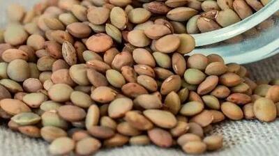 فاجعه در بازار حبوبات؛ سفره‌ها بی‌رمق‌تر از همیشه!