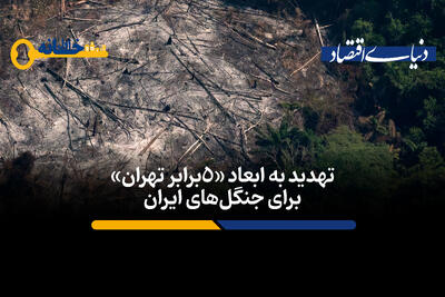 تهدید به ابعاد «۵ برابر تهران»در جنگل های ایران | آینده شهرها و محیط‌زیست ایرانی‌ها چه می شود؟+ فیلم