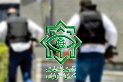 نورافکن بر نهان خانه عنکبوت