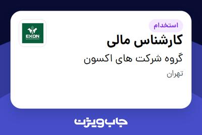 استخدام کارشناس مالی در گروه شرکت های اکسون