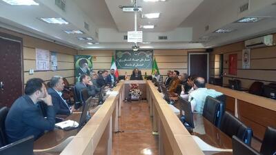 نشست هماهنگی برای ساماندهی بازار مرغ در کرمانشاه برگزار شد
