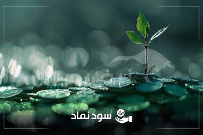 زمان پرداخت سود سهامی که هفته گذشته مجمع داشتند | واریز سود ۹ ریالی یک نماد در آبان ماه
