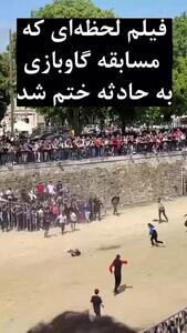 فیلم لحظه‌ای که مسابقه گاوبازی به حادثه دردناکی ختم شد