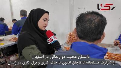 از دامداری و پیمانکاری تا زندان / حالا با دسترنج خود زندگی می‌سازند + فیلم گفت و گو