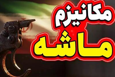 یک کارشناس اقتصادی: مکانیسم ماشه تحریم‌های بیشتری اعمال نمی‌کند/ تاثیر کوتاه‌مدت پیشخور شد | شفقنا، آخرین اخبار ایران و جهان