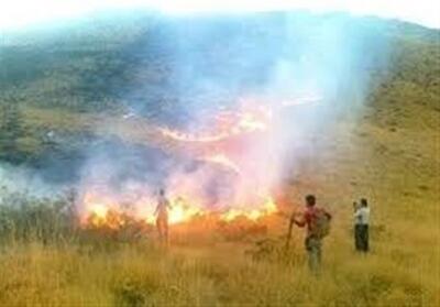 مهار آتش‌سوزی در منطقه خومه‌زار ممسنی - تسنیم