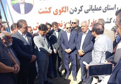 وزیر جهاد کشاورزی: سطح زیرکشت زعفران به 120 هزار هکتار رسید - تسنیم